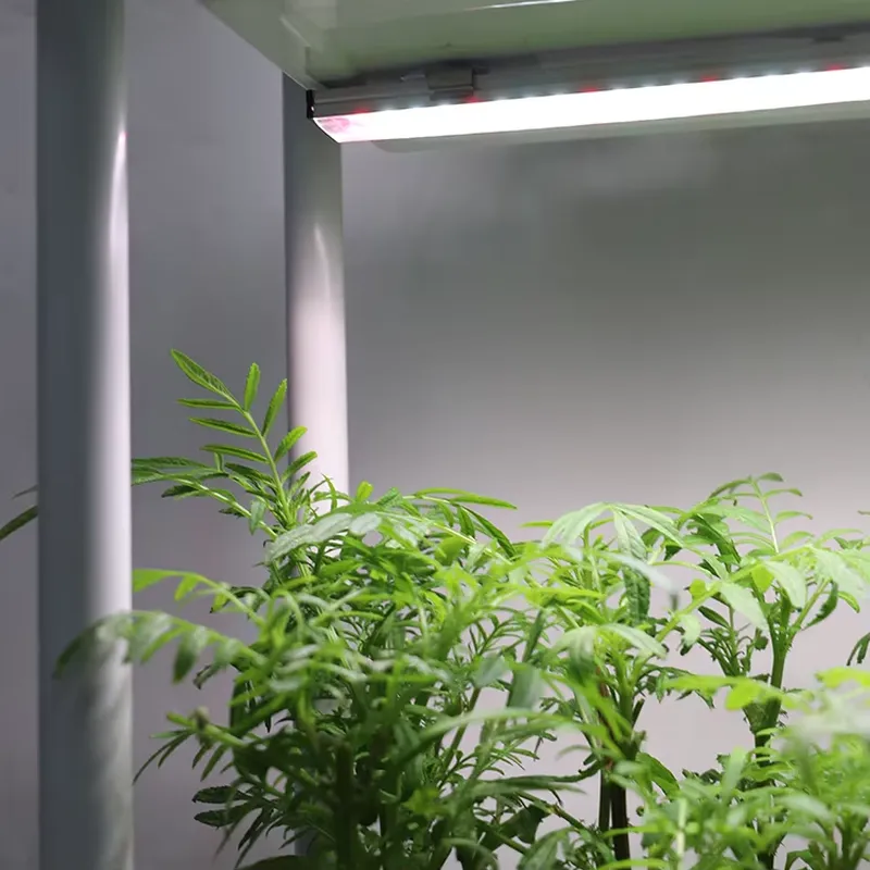 Smart Garden System - Przenośny, pionowy, 3-poziomowy, samonawadniający się inteligentny