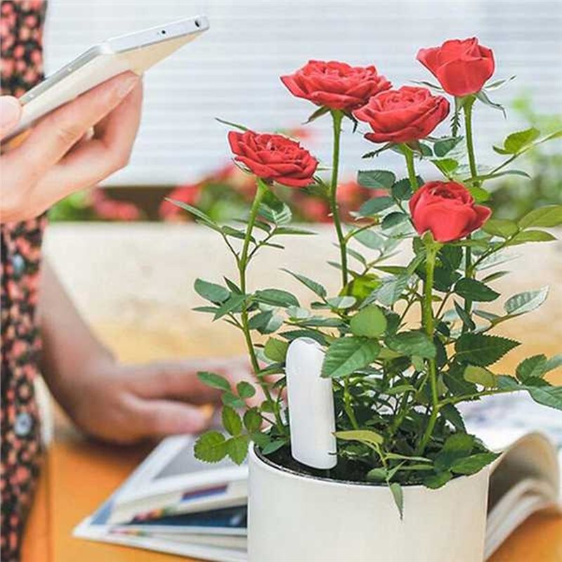 Plant Sensor - ABVG-Flora Inteligentny Monitor Kwiatów, Pielęgnacja Ogrodu,