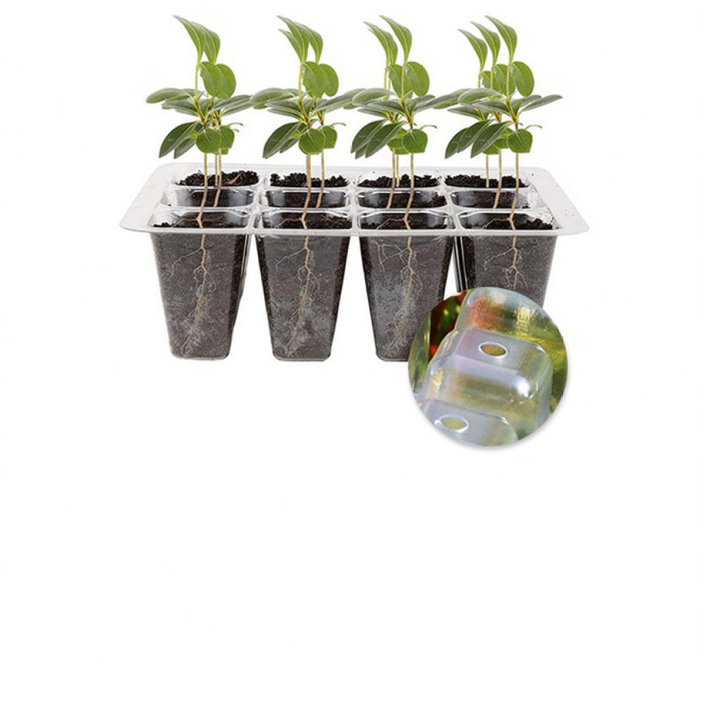 Indoor Garden Kit - Zestaw do uprawy roślin w domu,