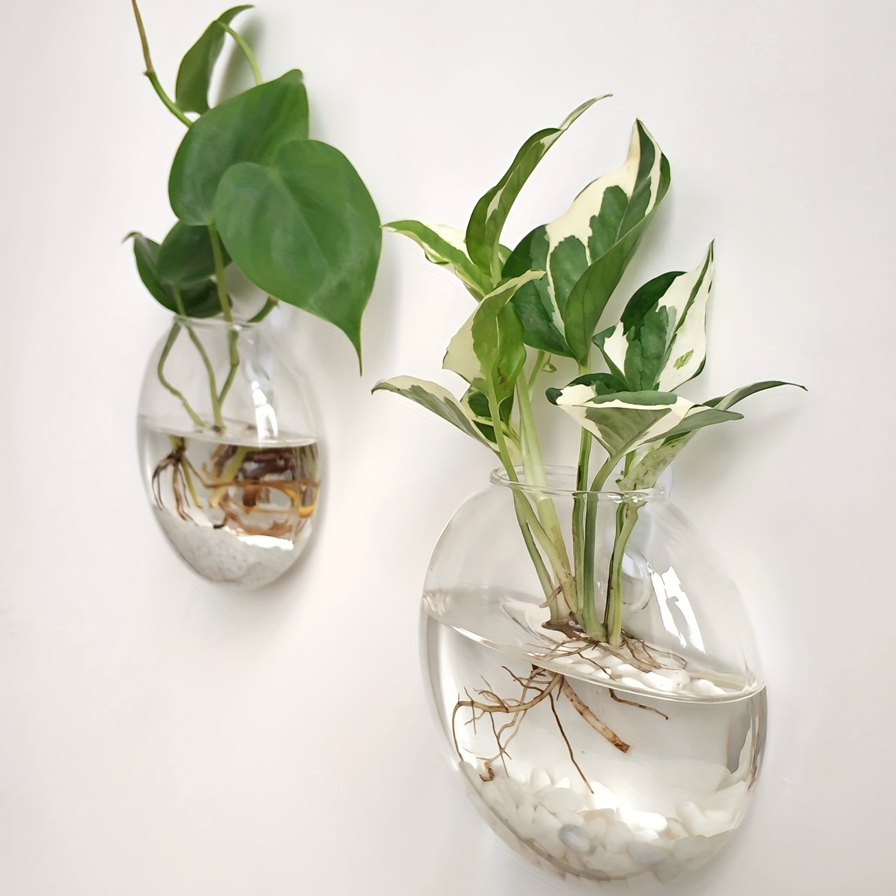 Hydroponic Grow Pod - 2 sztuki / 4 sztuki /