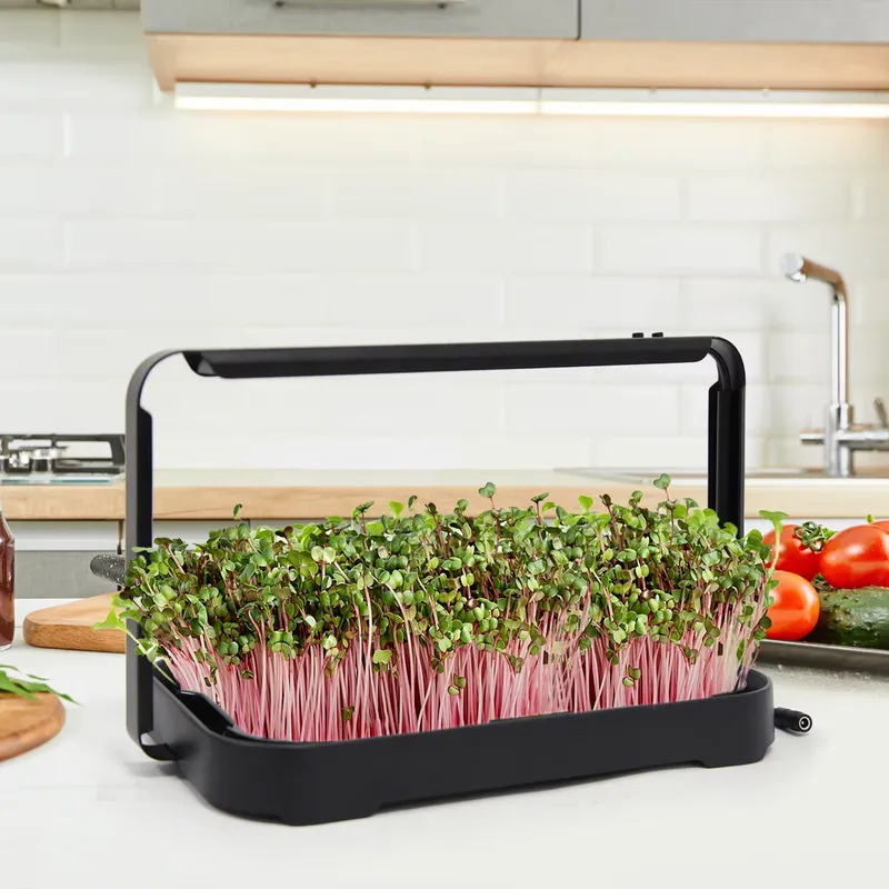 Smart Garden System - Taca hydroponiczna do uprawy mikrolistków w
