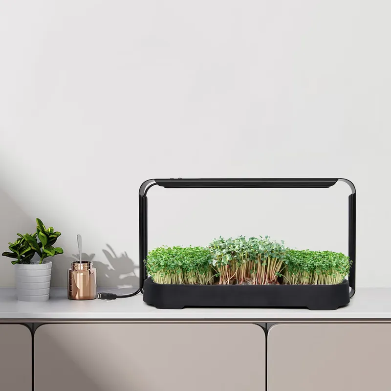System hydroponiczny do samodz – Indoor Garden Kit recenzja i cena