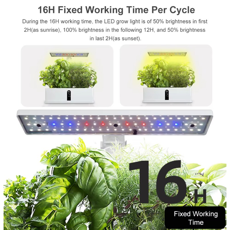 9-komórkowy inteligentny syste – Smart Garden System recenzja i cena