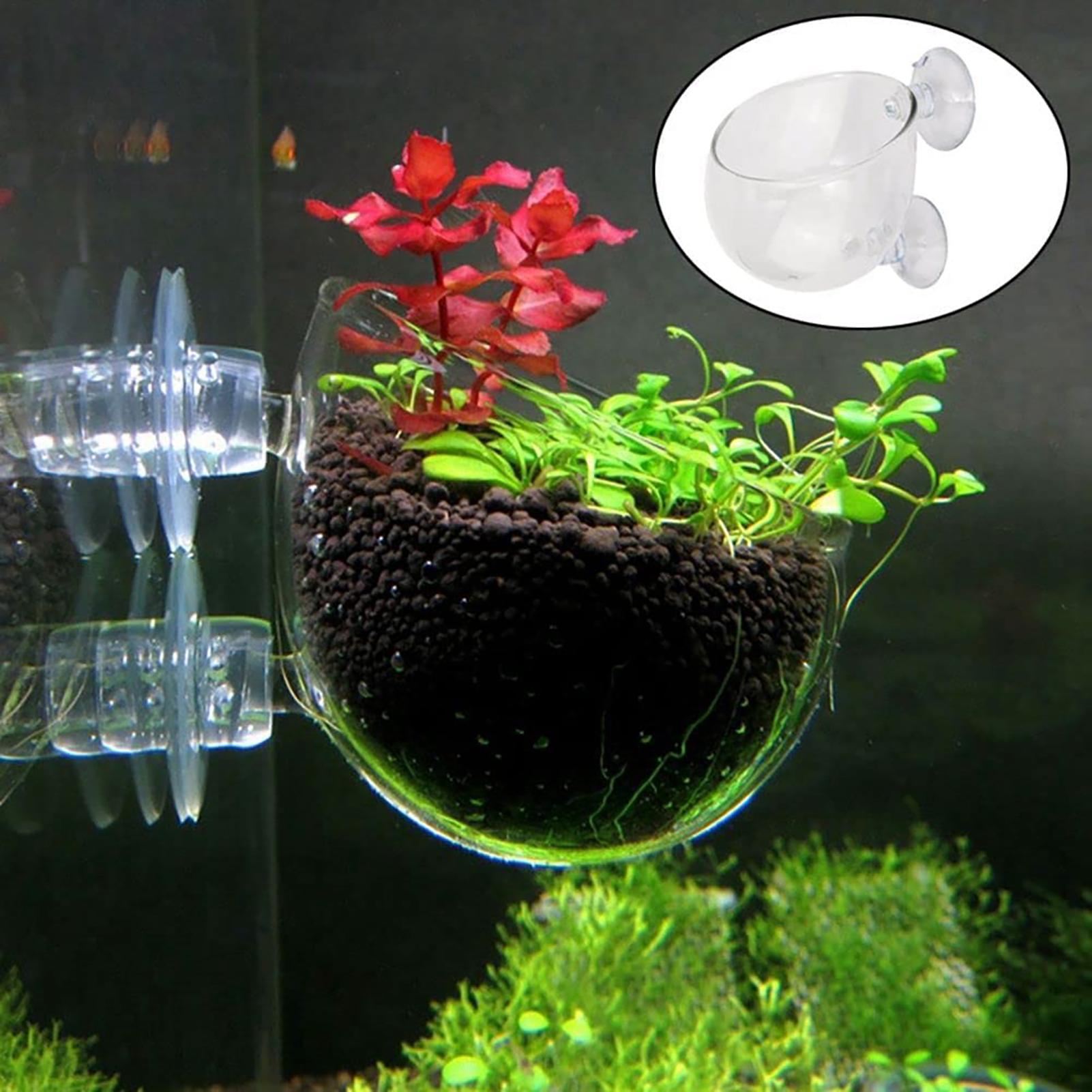 Akrylowa doniczka na rośliny w – Hydroponic Grow Pod recenzja i cena