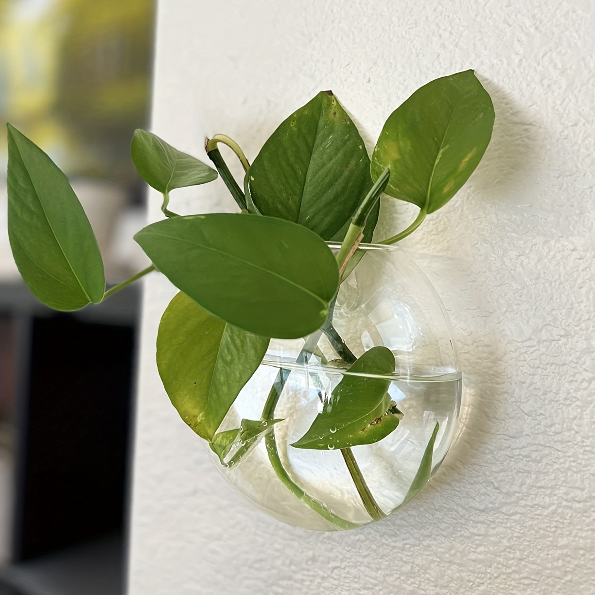 2 sztuki / 4 sztuki / 6 sztuk  – Hydroponic Grow Pod recenzja i cena