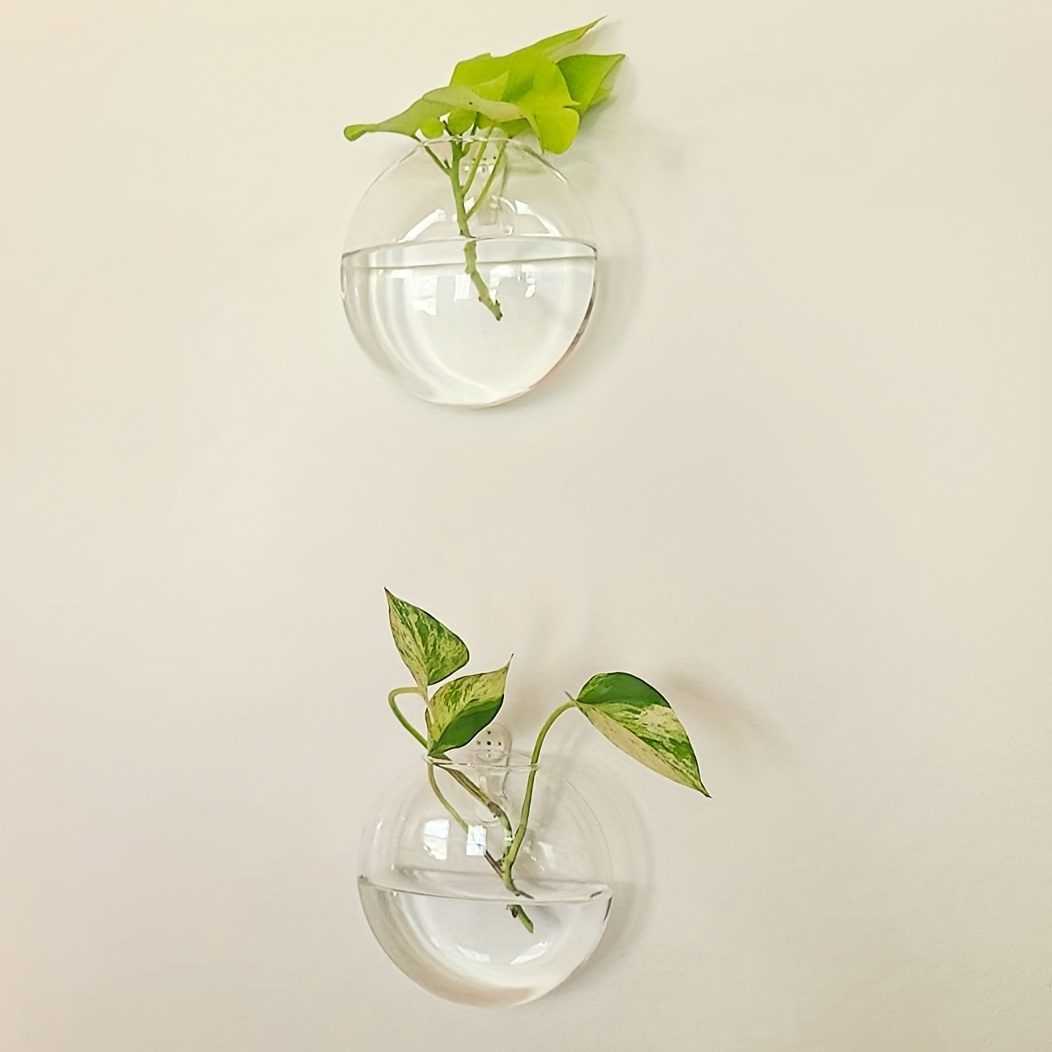 2 sztuki / 4 sztuki / 6 sztuk  – Hydroponic Grow Pod recenzja i cena