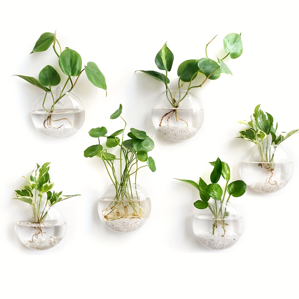 2 sztuki / 4 sztuki / 6 sztuk  – Hydroponic Grow Pod recenzja i cena