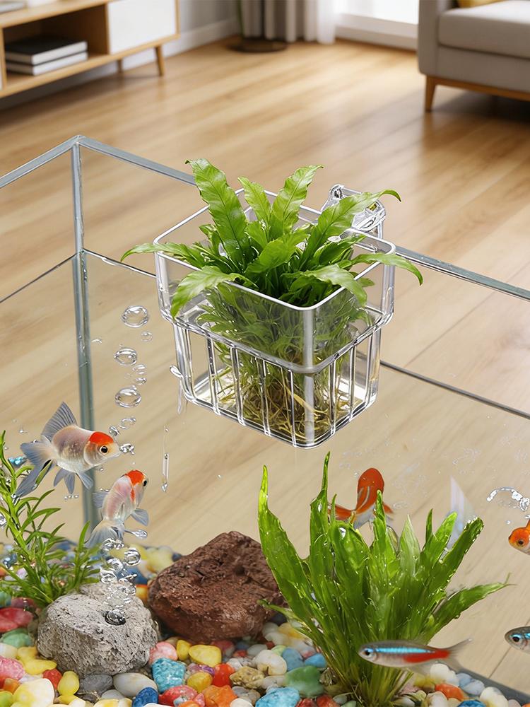 Przezroczysty uchwyt na roślin – Hydroponic Grow Pod recenzja i cena