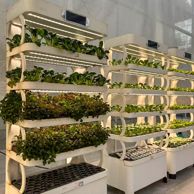 Inteligentny system do uprawy  – Smart Garden System recenzja i cena