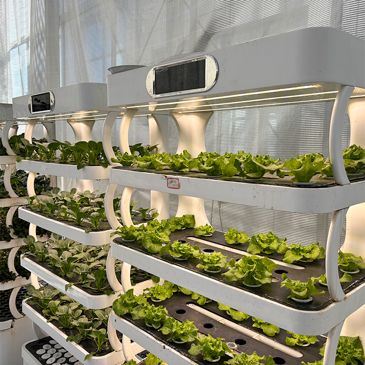 Inteligentny system do uprawy  – Smart Garden System recenzja i cena