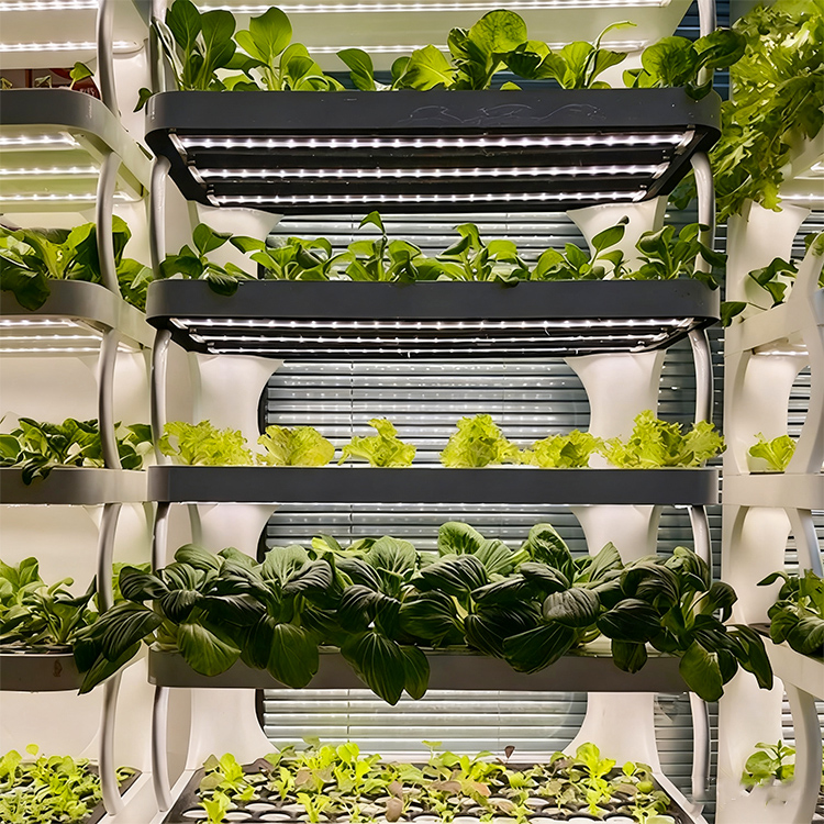 Inteligentny system do uprawy  – Smart Garden System recenzja i cena